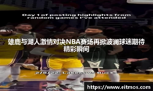雄鹿与湖人激情对决NBA赛场再掀波澜球迷期待精彩瞬间